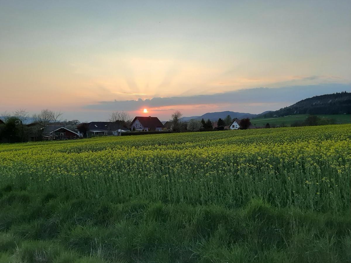 Familienfreundliche Ferienwohnung Auf Dem Lande Monteur Wohnung Hessisch Oldendorf ภายนอก รูปภาพ
